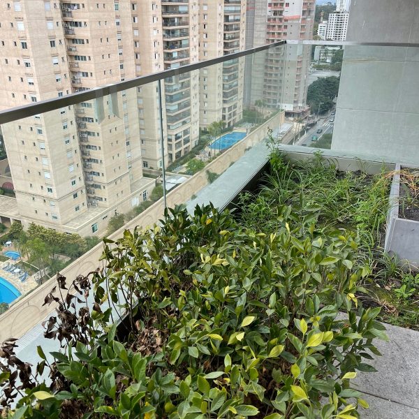 projeto09-pic7
